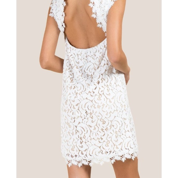 NWT Francesca’s Della Hi-neck Lace Shift Dress - Picture 3 of 7